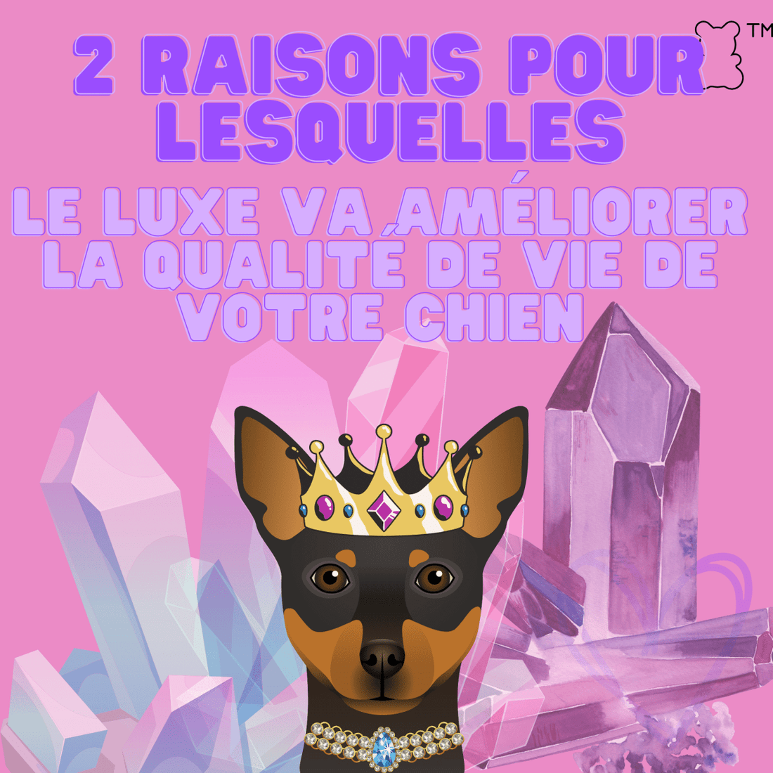 2 raisons pour lesquelles le luxe pourrait améliorer la qualité de vie de votre chien - melissafendrichcreations