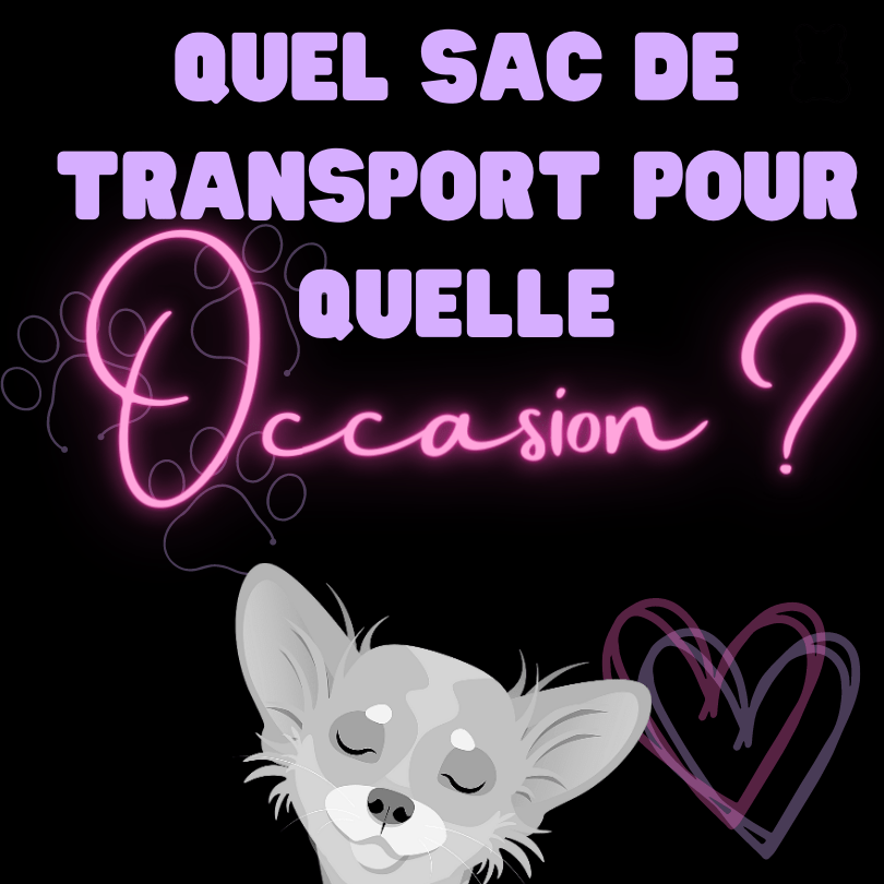 Comment choisir le sac de transport idéal pour votre petit chien ? - melissafendrichcreations