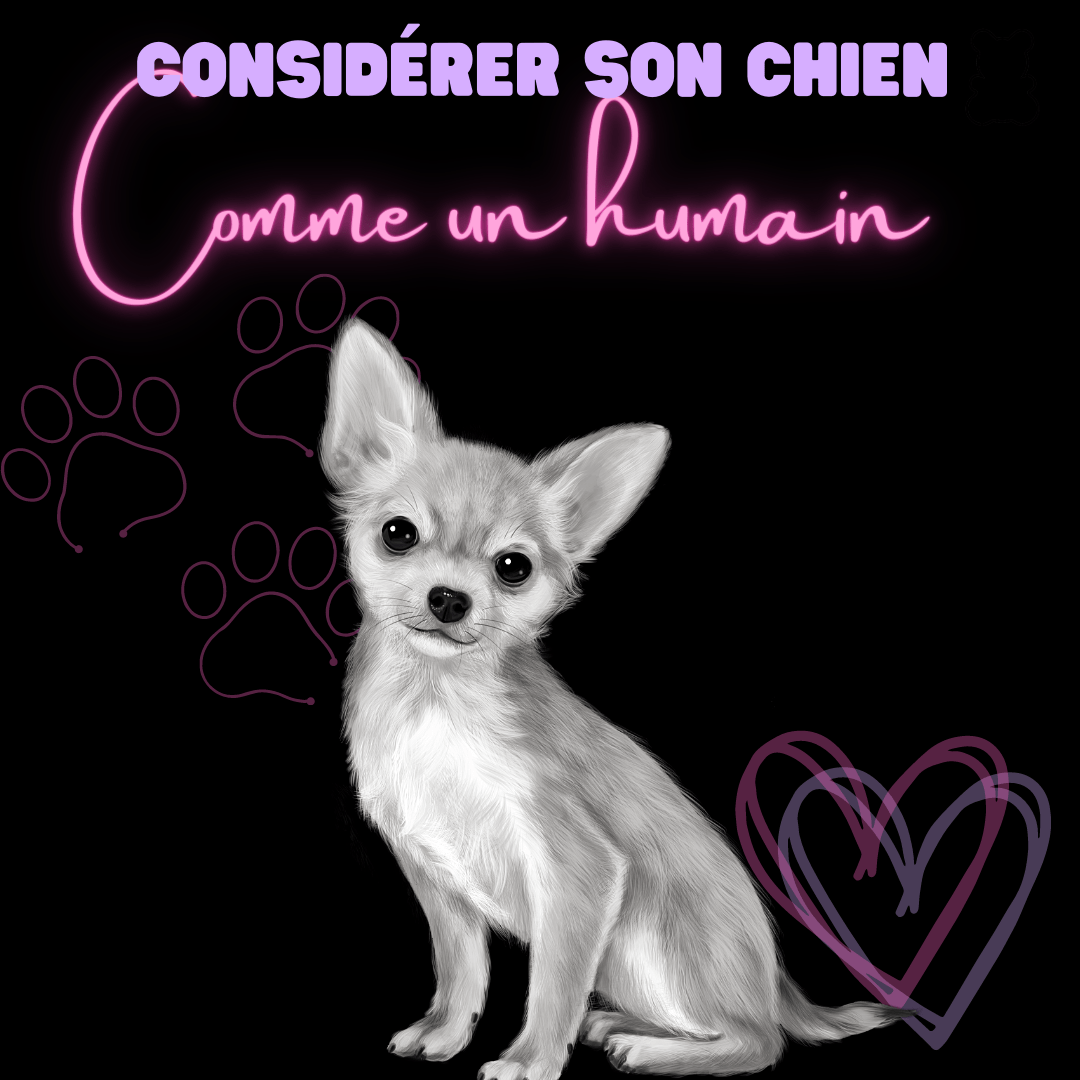 Considérer son chien comme un humain - melissafendrichcreations