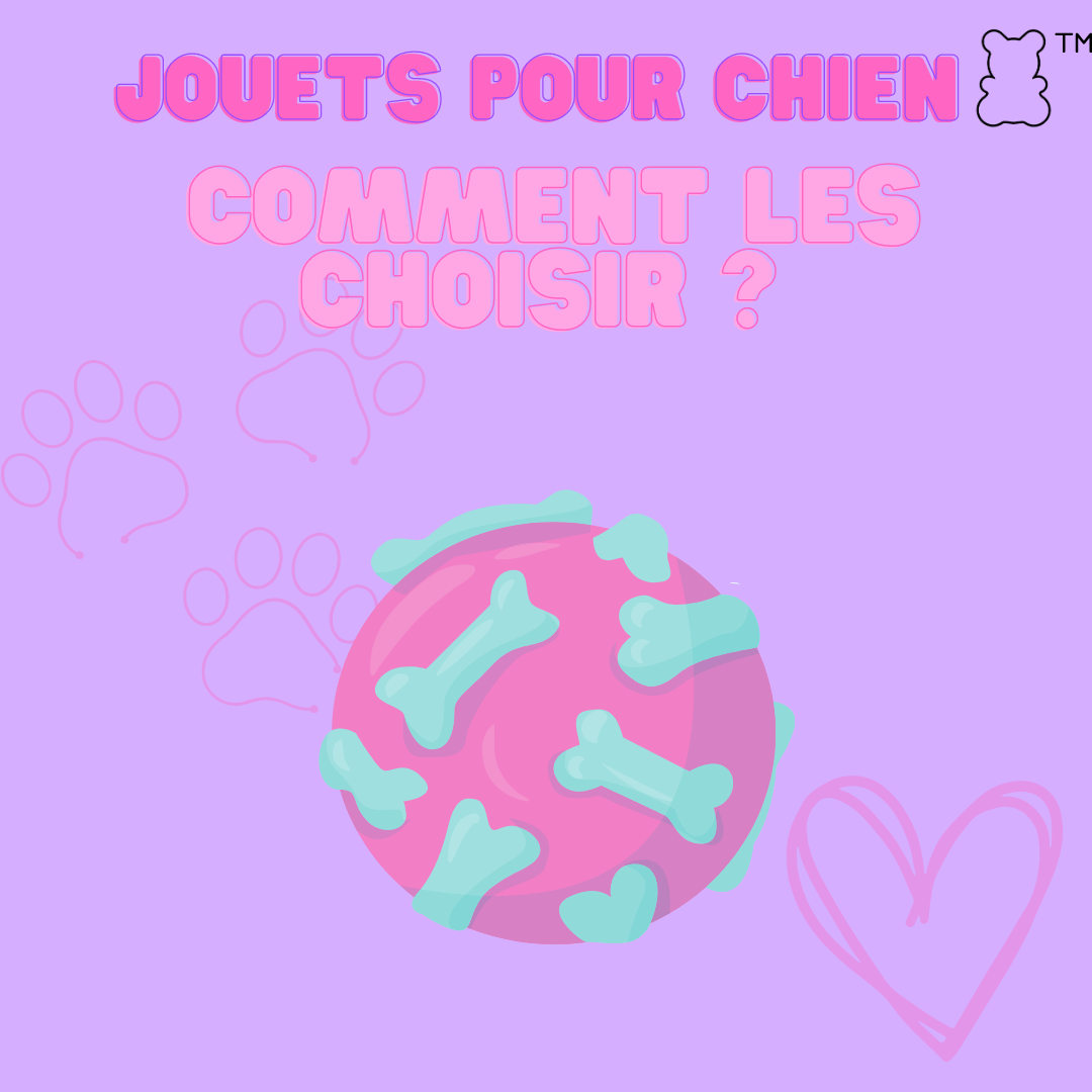 Jouets pour chien : Comment les choisir ? - melissafendrichcreations