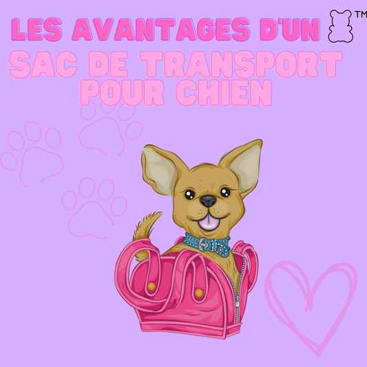 Les avantages d'un sac de transport pour chien - melissafendrichcreations