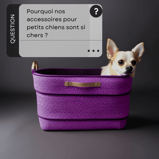 Pourquoi nos accessoires pour petits chiens sont si chers ? La valeur de l'artisanat et de la qualité - melissafendrichcreations