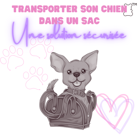 Transporter son chien dans un sac : Une solution sécurisée - melissafendrichcreations