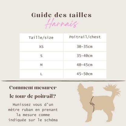 Harnais pour petit chien en velours beige