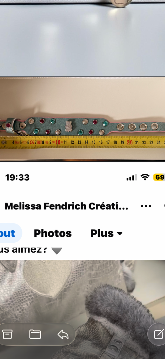 Commande personnalisée sac Stella, collier, laisse, harnais