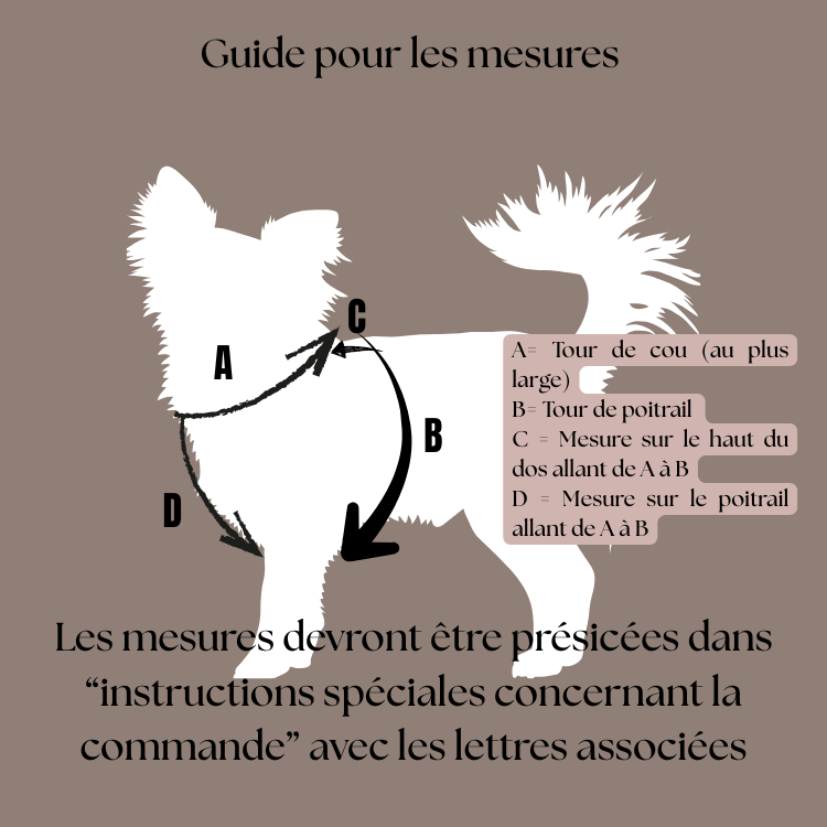 Harnais sur mesure en velours