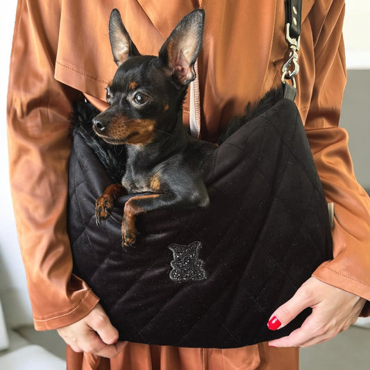 Sac bandoulière pour petit chien