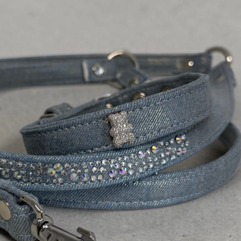 collier chihuahua 