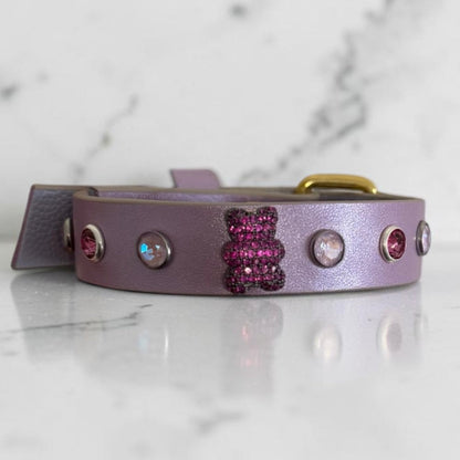 collier chihuahua en cuir