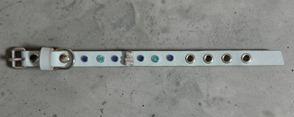 collier chihuahua en cuir