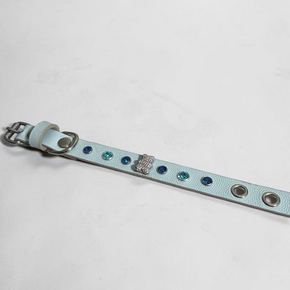 collier chihuahua en cuir