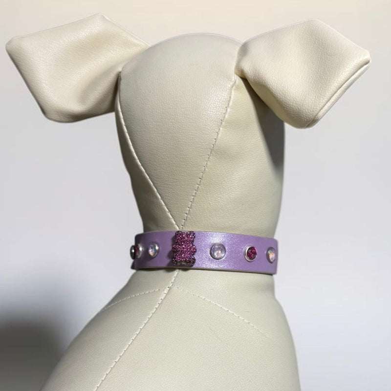 collier chihuahua en cuir