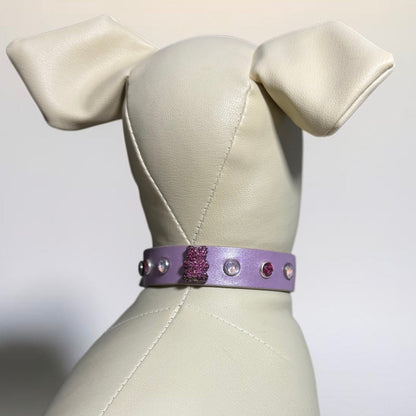 collier chihuahua en cuir