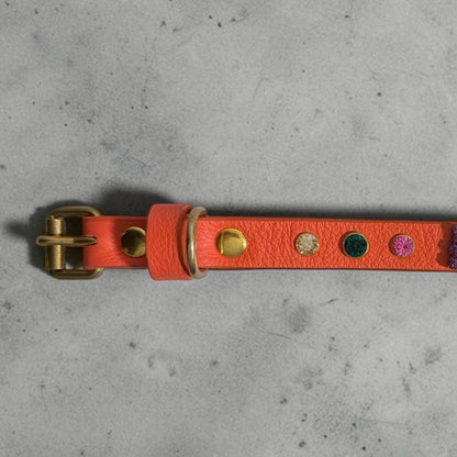 collier chihuahua en cuir