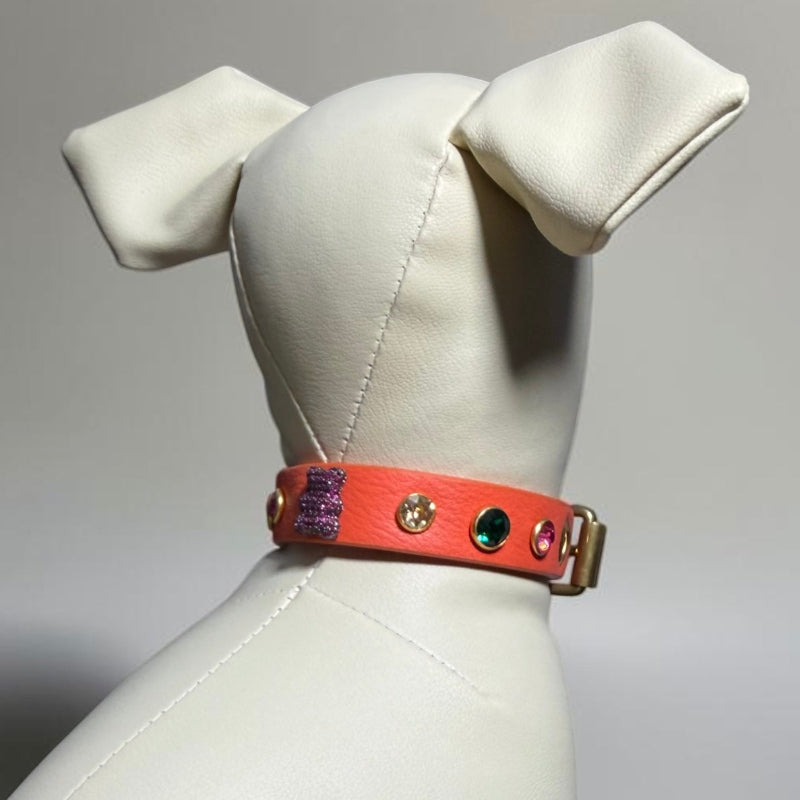 collier chihuahua en cuir