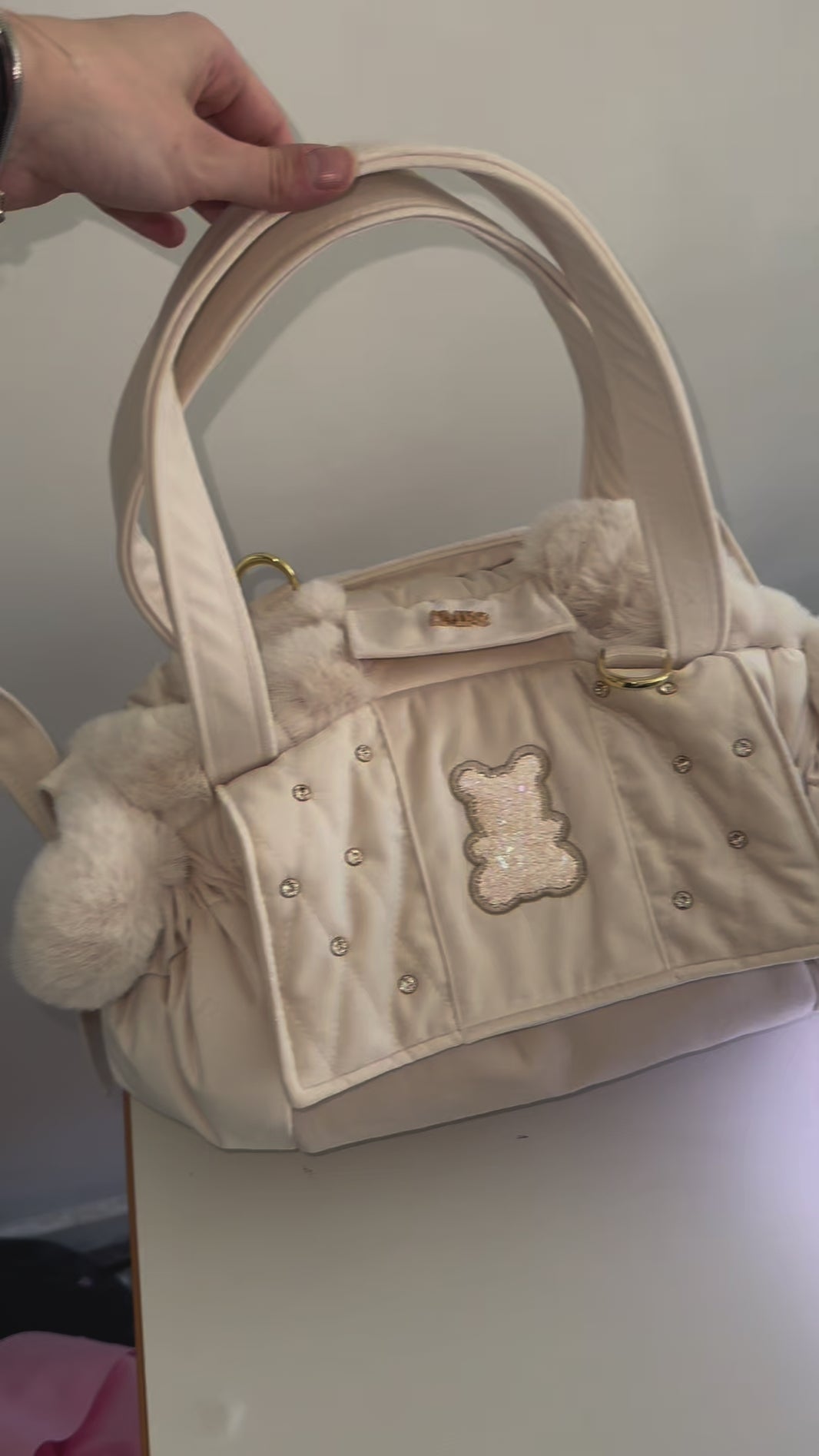 sac pour chihuahua de luxe